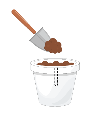 Step 1: Soil