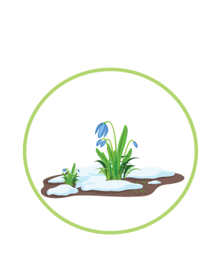 Summer bloom