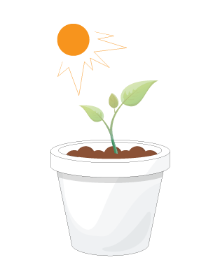 Step 4: Sun