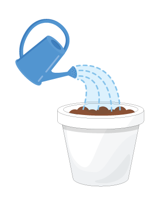 Step 2: Water